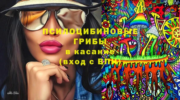 apvp Алексин