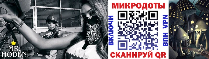 Галлюциногенные грибы Psilocybe Черкесск