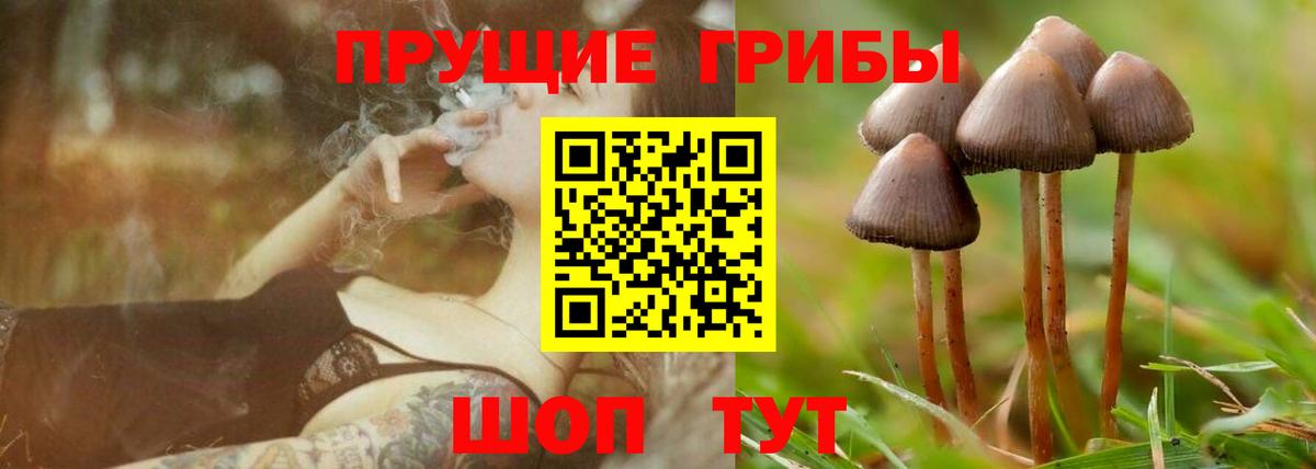 Галлюциногенные грибы MAGIC MUSHROOMS Черкесск
