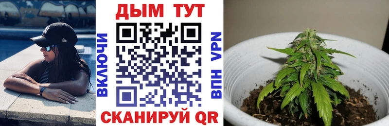Канабис семена  купить   ссылка на мегу рабочий сайт  Черкесск 