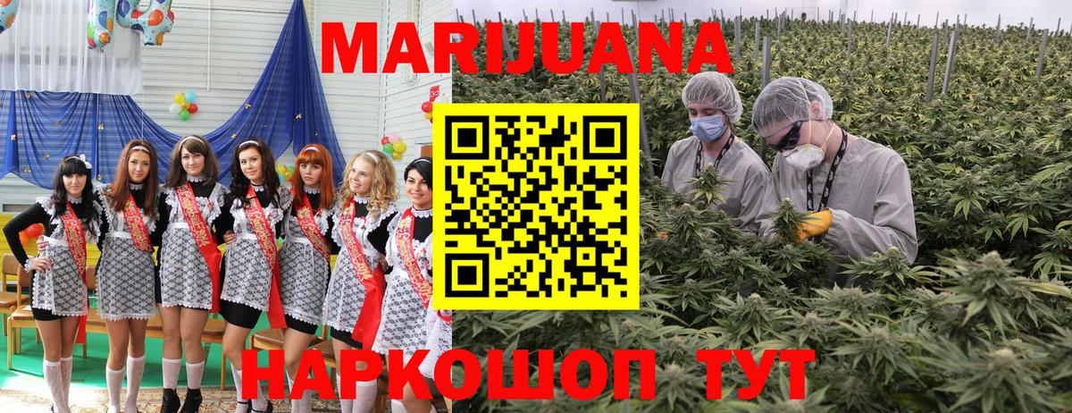 Шишки марихуана White Widow Черкесск